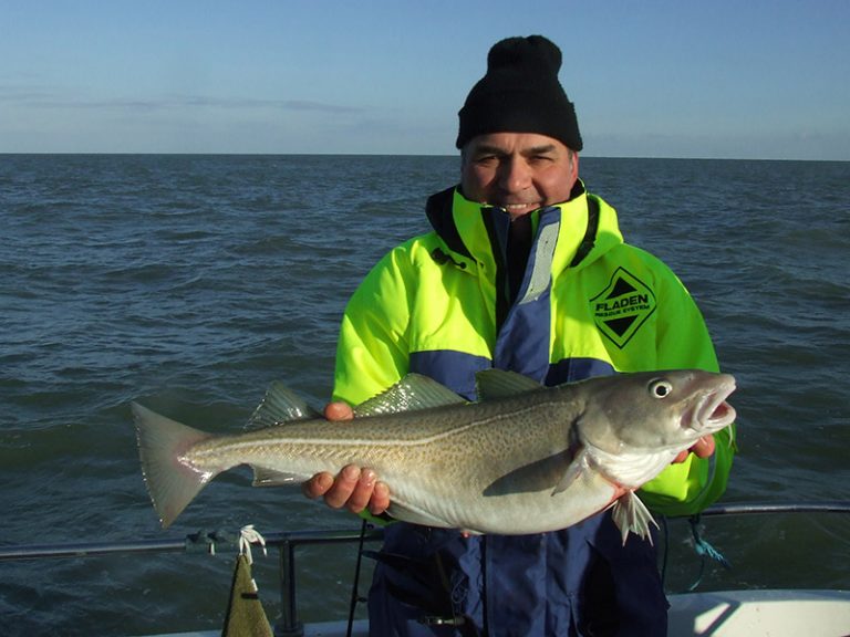 Latest News Essex Sea Fishing