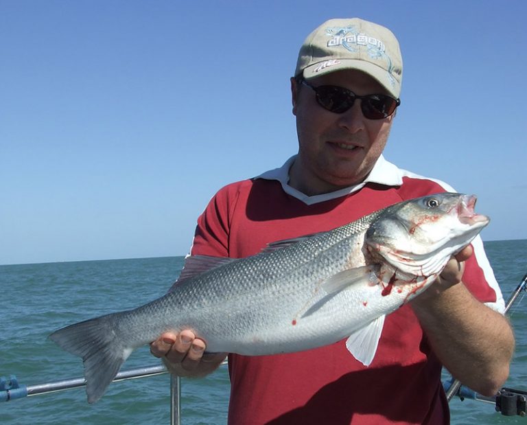 Latest News Essex Sea Fishing