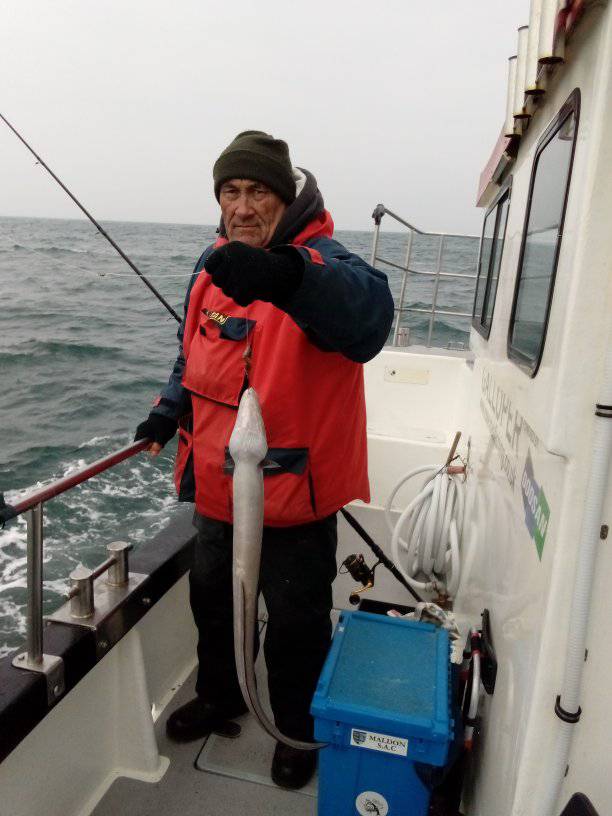 march 2025 something different