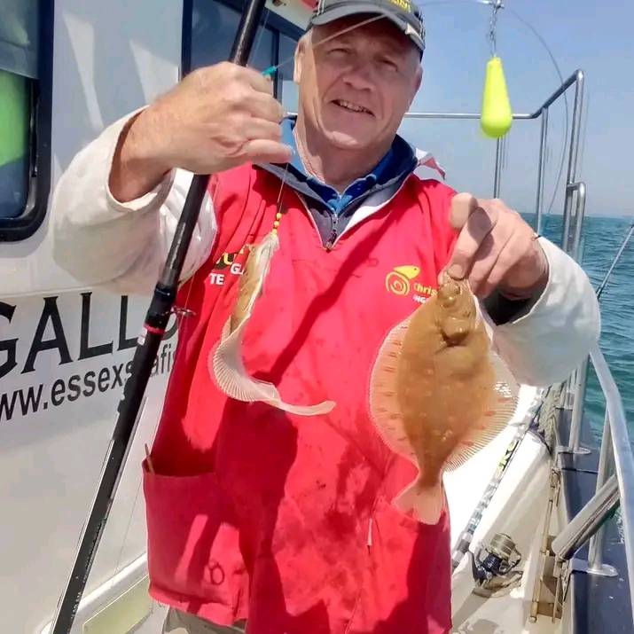 Essex plaice fishing
